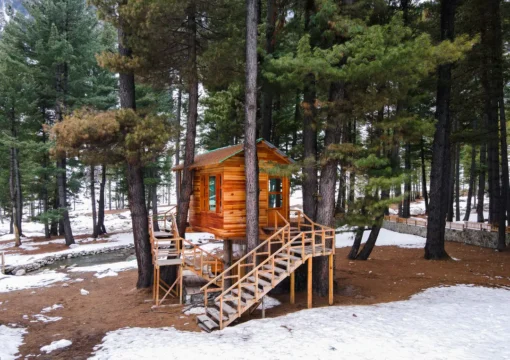 Bois Cottage