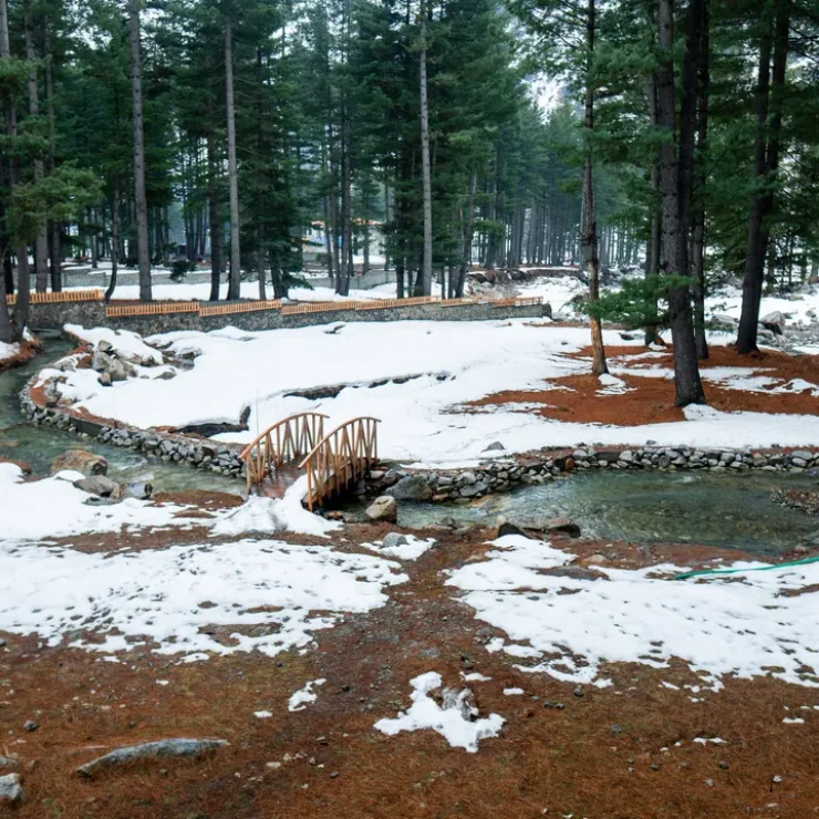 What Makes Kumrat Valley the Best Summer Escape in Pakistan