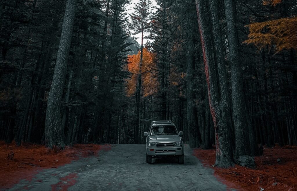 kumrat forest road