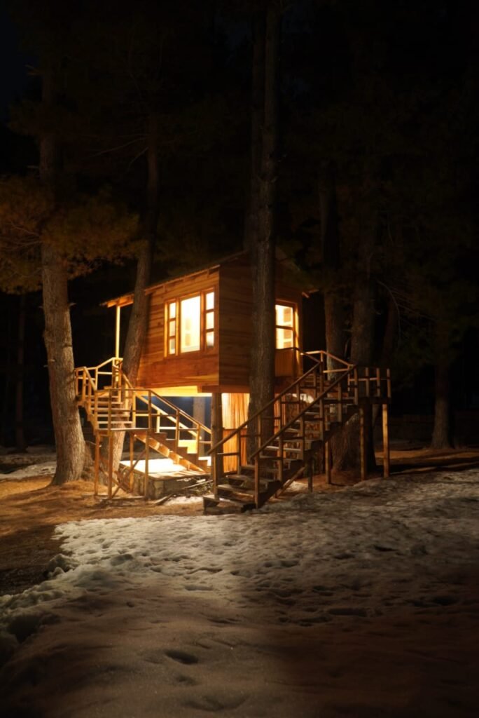 tree house at celine resort-kumrat valley