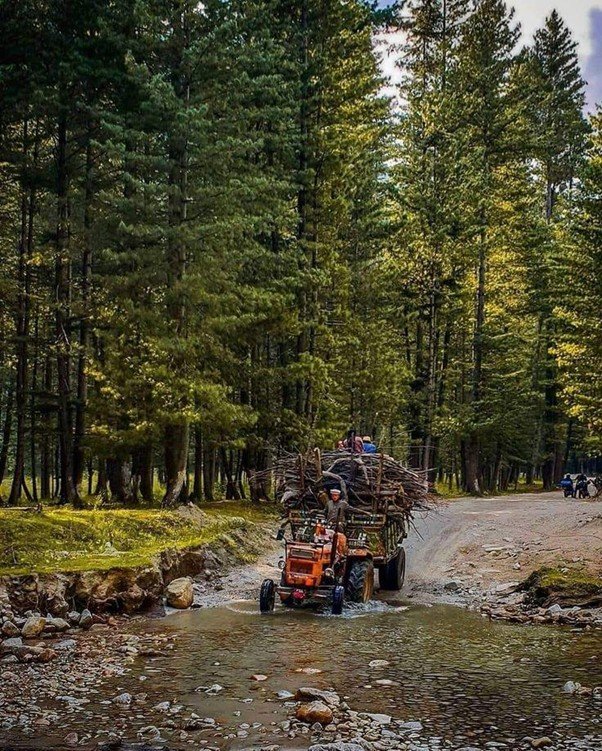 Kumrat Valley summer greenery Pakistan