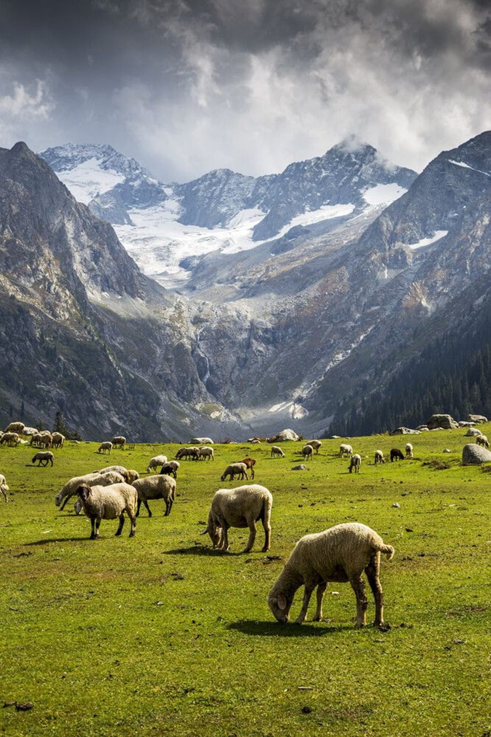 Peaceful summer escape in Kumrat Valley