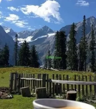 How to Capture Stunning Photography in Kumrat Valley While Staying at Celine Resorts