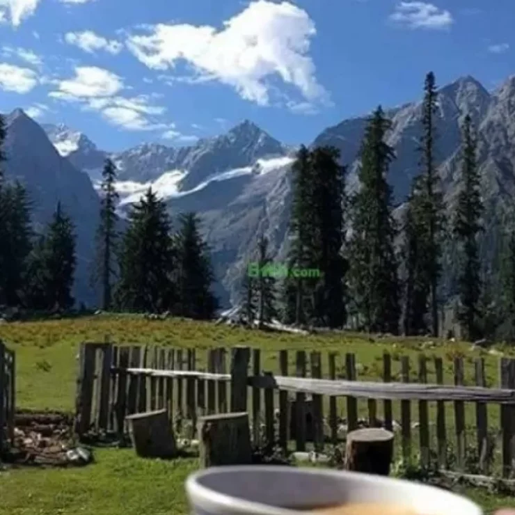 How to Capture Stunning Photography in Kumrat Valley While Staying at Celine Resorts