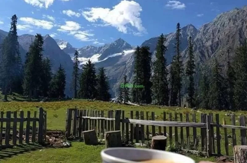 How to Capture Stunning Photography in Kumrat Valley While Staying at Celine Resorts